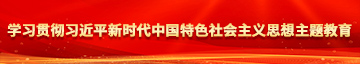 操色妞吧在线观看学习贯彻习近平新时代中国特色社会主义思想主题教育