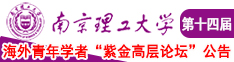 欧美亚洲抽插啊啊啊南京理工大学第十四届海外青年学者紫金论坛诚邀海内外英才！